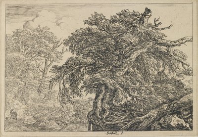The Great Beech with Two Men and a Dog, c. 1650-1655 by Jacob van Ruisdael